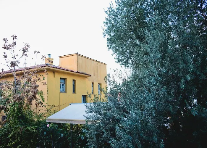 Plaka Heart